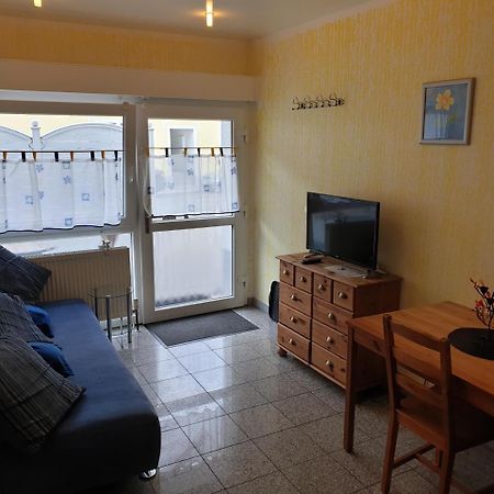 Apartmenthaus "Zum Lowen" Heidelberg - Ziegelhausen Экстерьер фото