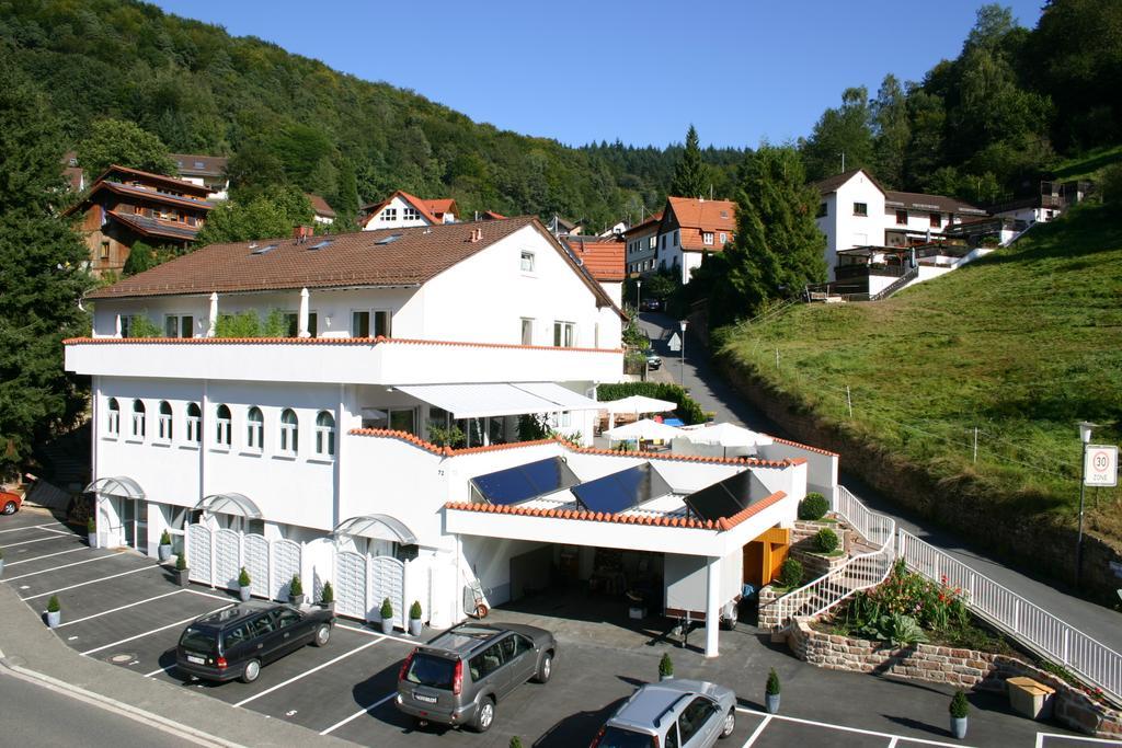 Apartmenthaus "Zum Lowen" Heidelberg - Ziegelhausen Экстерьер фото