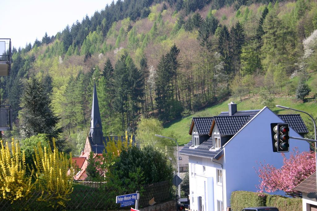 Apartmenthaus "Zum Lowen" Heidelberg - Ziegelhausen Экстерьер фото
