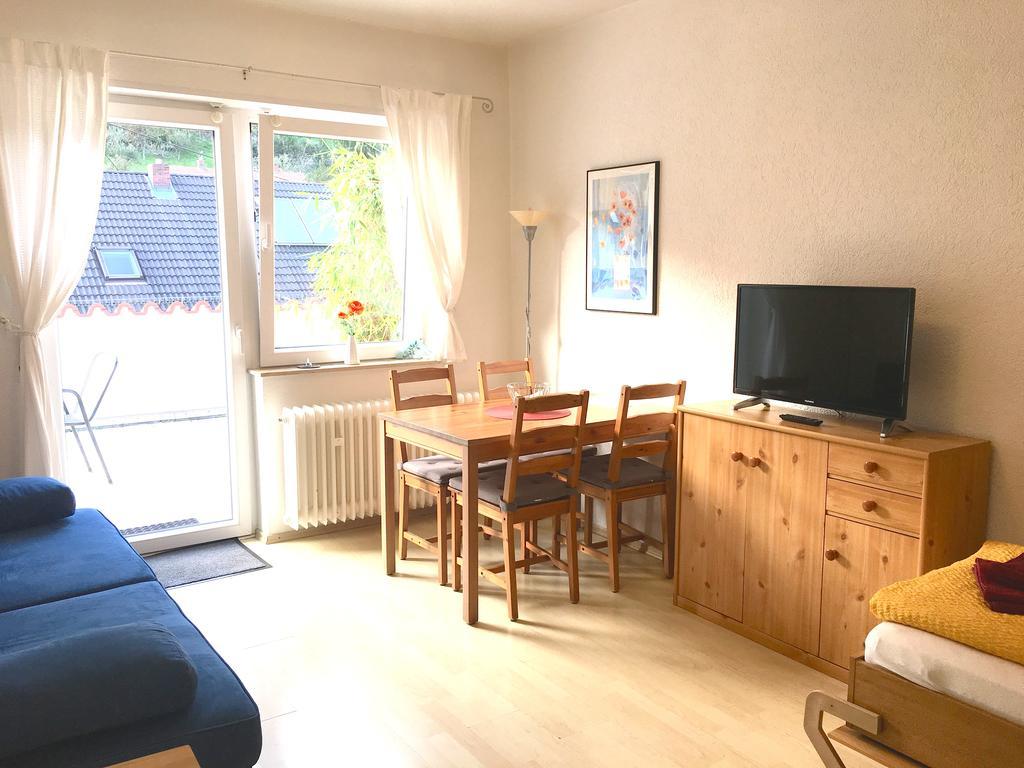 Apartmenthaus "Zum Lowen" Heidelberg - Ziegelhausen Экстерьер фото