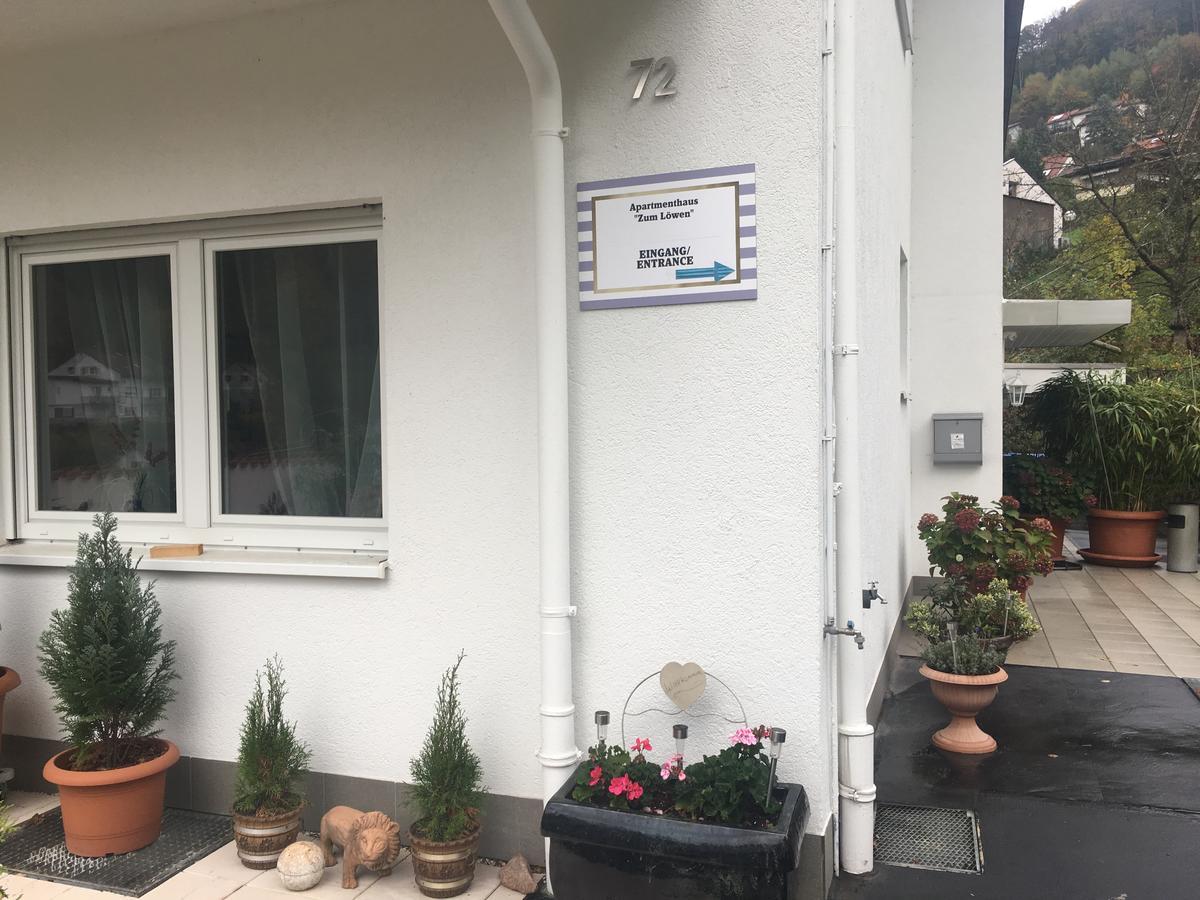 Apartmenthaus "Zum Lowen" Heidelberg - Ziegelhausen Экстерьер фото