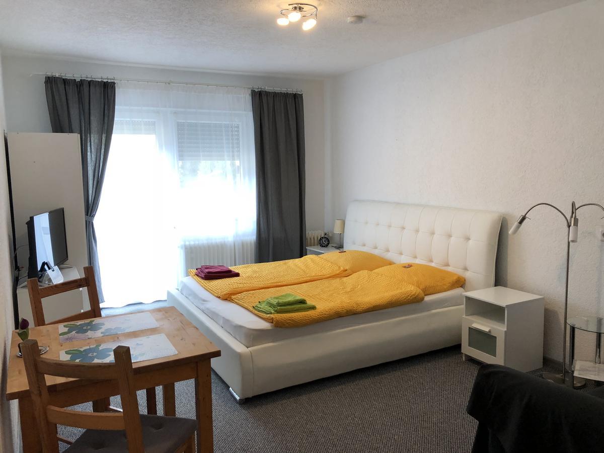 Apartmenthaus "Zum Lowen" Heidelberg - Ziegelhausen Экстерьер фото