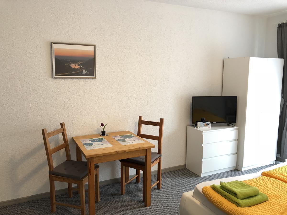 Apartmenthaus "Zum Lowen" Heidelberg - Ziegelhausen Экстерьер фото