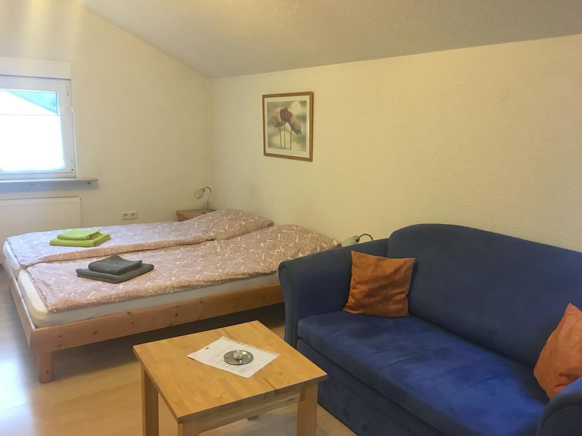 Apartmenthaus "Zum Lowen" Heidelberg - Ziegelhausen Экстерьер фото